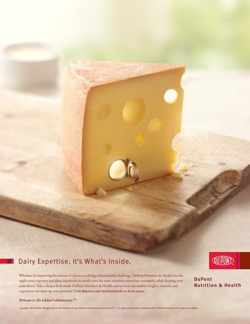 Cibo porte campagna4.jpg