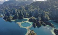 le splendide isole palawan un paradiso naturale
