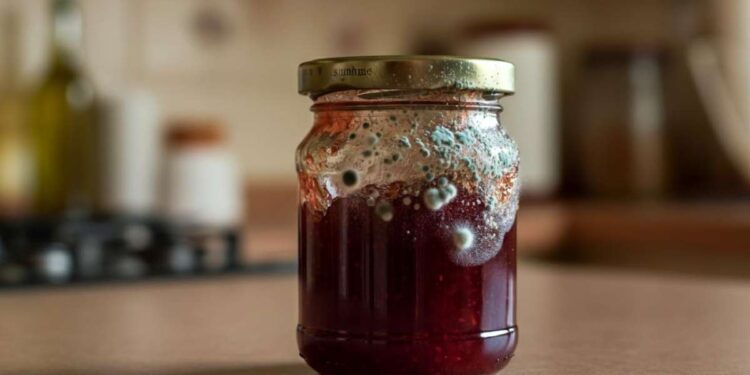 muffa nella marmellata: che fare?