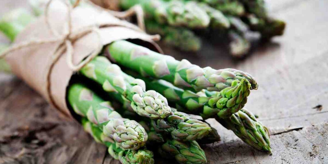 diventeranno il tuo piatto preferito