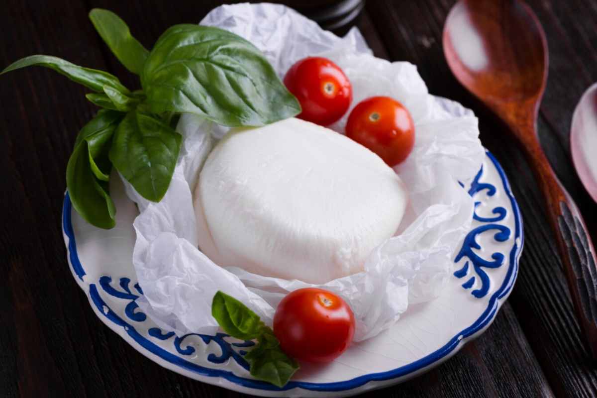 Mozzarella