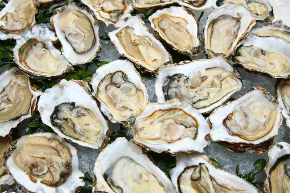 Ostriche contaminate
