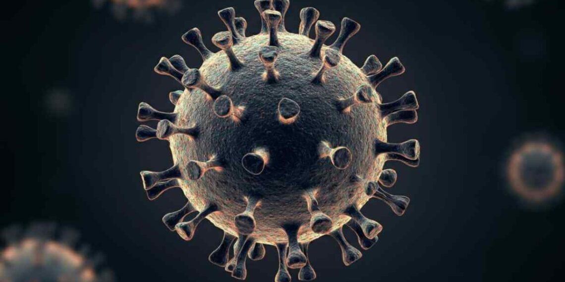 Rischio Norovirus