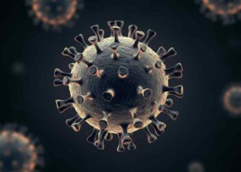 Rischio Norovirus
