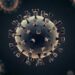 Rischio Norovirus
