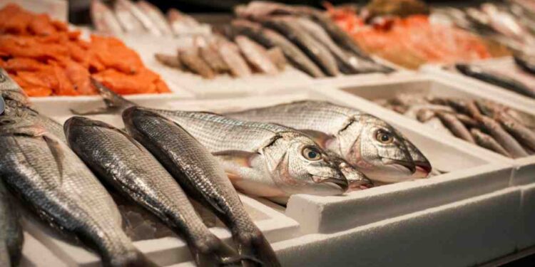 quale pesce contiene mercurio?