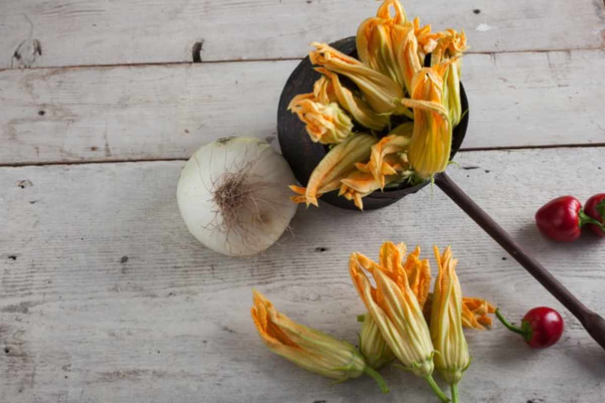Fiori di zucca