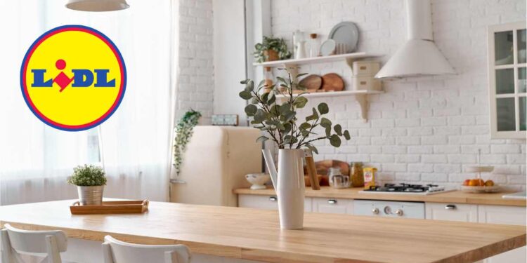 Rifai la cucina al prezzo di una cena: Lidl si supera