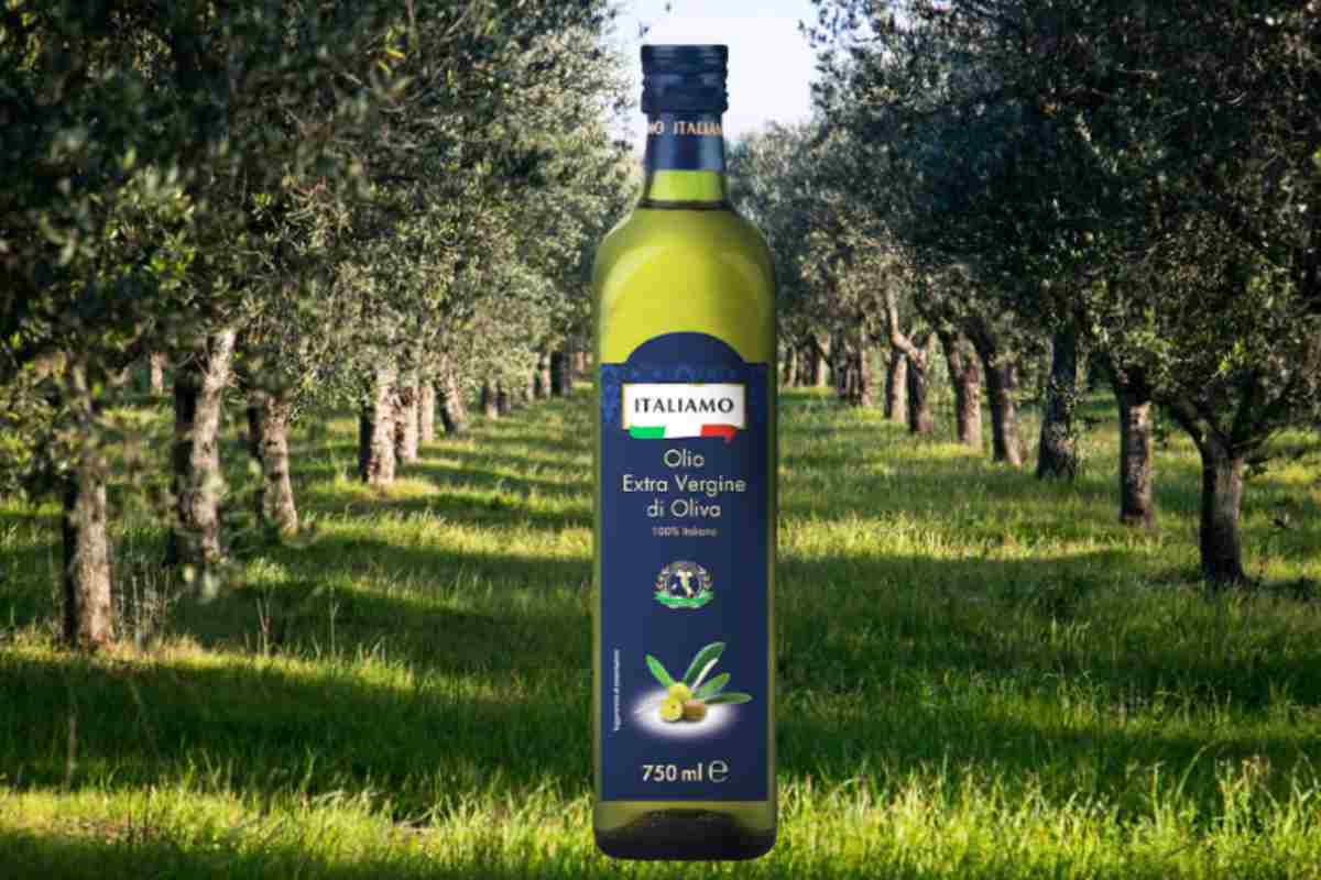 Olio Lidl