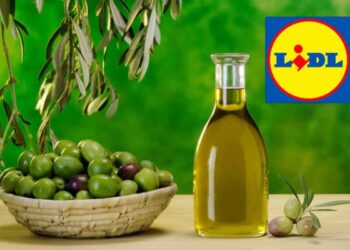 Olio Lidl