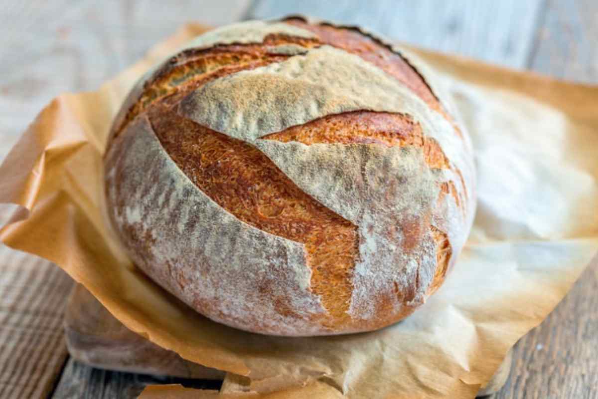 Pane Contaminato