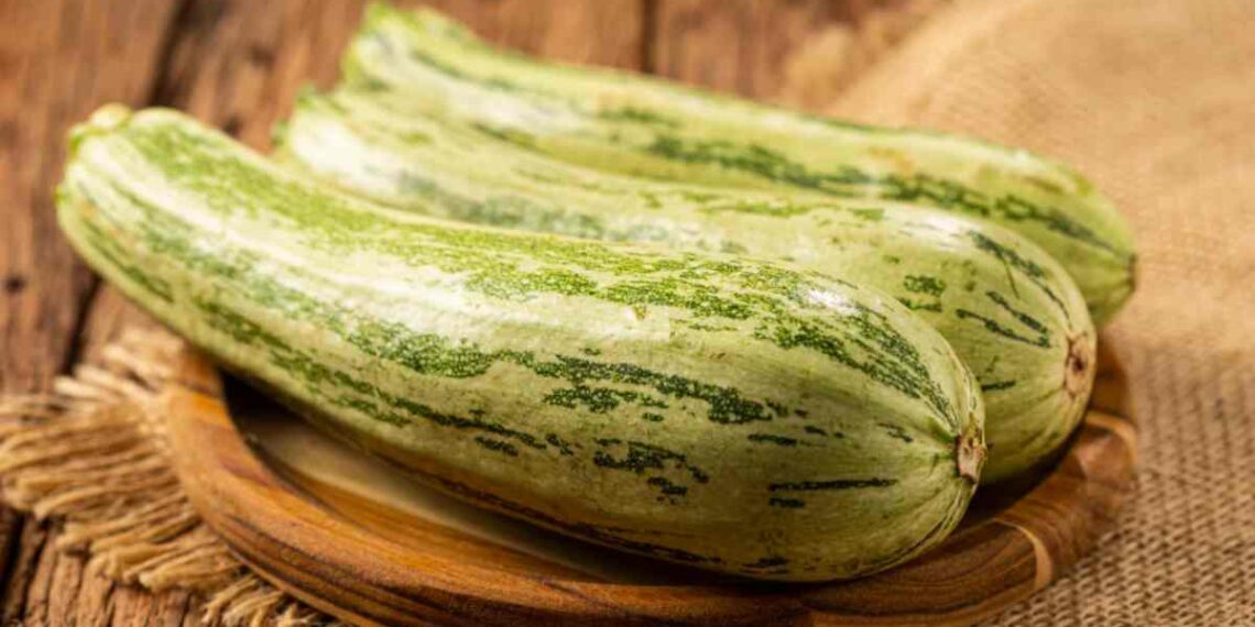 Zucchine