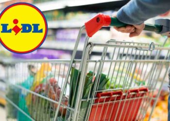 Lidl svela l’offerta bomba, su Amazon o Media Wordl lo paghi il doppio