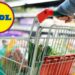 Lidl svela l’offerta bomba, su Amazon o Media Wordl lo paghi il doppio