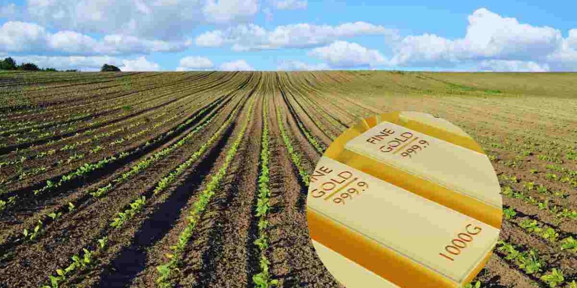 è coltivato in italiae d è un'eccellenza