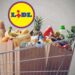 Super sconti da Lidl: decine di prodotti a prezzi folli