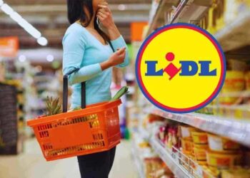 l’articolo Lidl sotto i 20 euro che ha già fatto il tutto esaurito