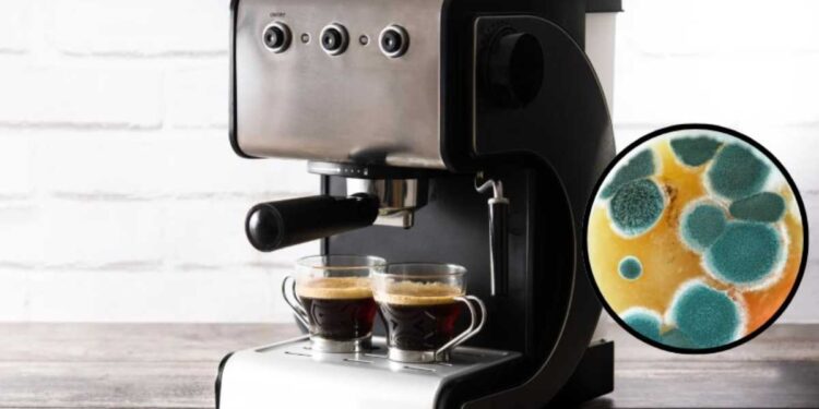 La muffa nella macchinetta del caffè