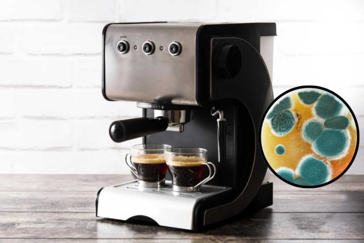 La muffa nella macchinetta del caffè