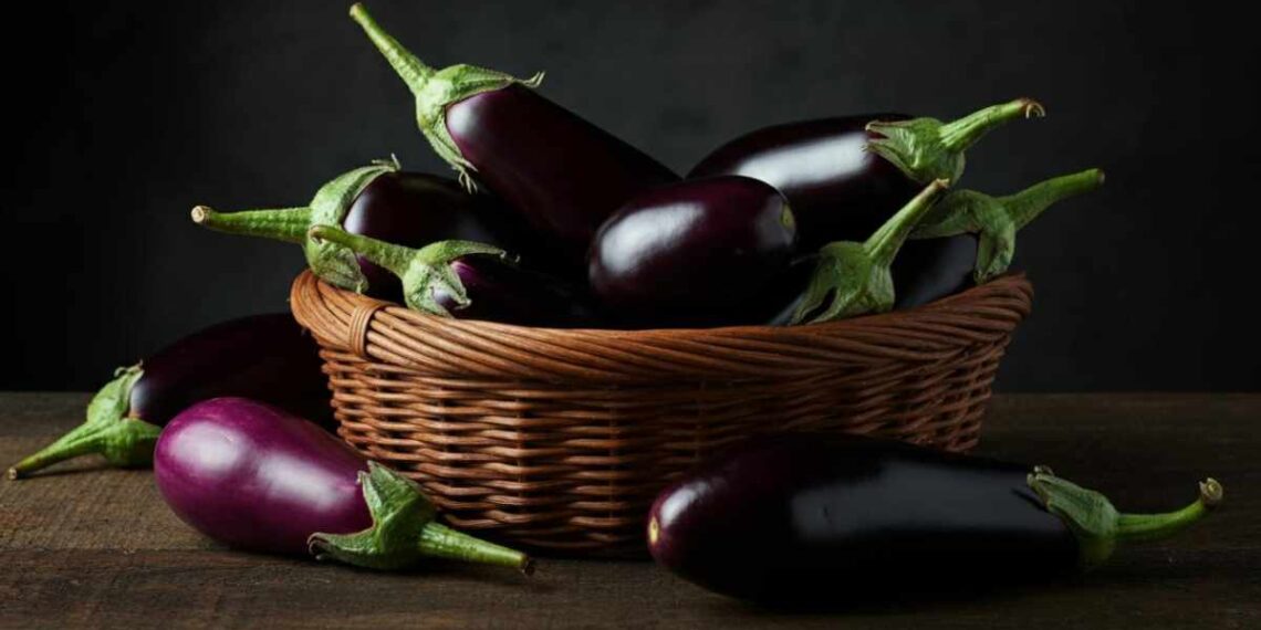 Melanzane, tipologie