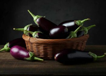 Melanzane, tipologie