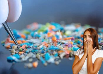 Microplastiche nel cibo