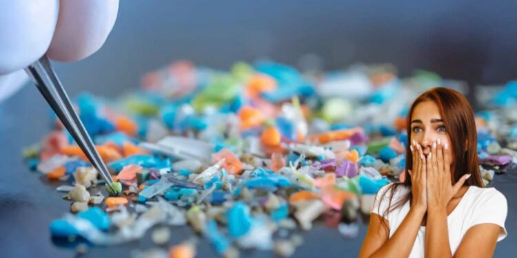 Microplastiche nel cibo