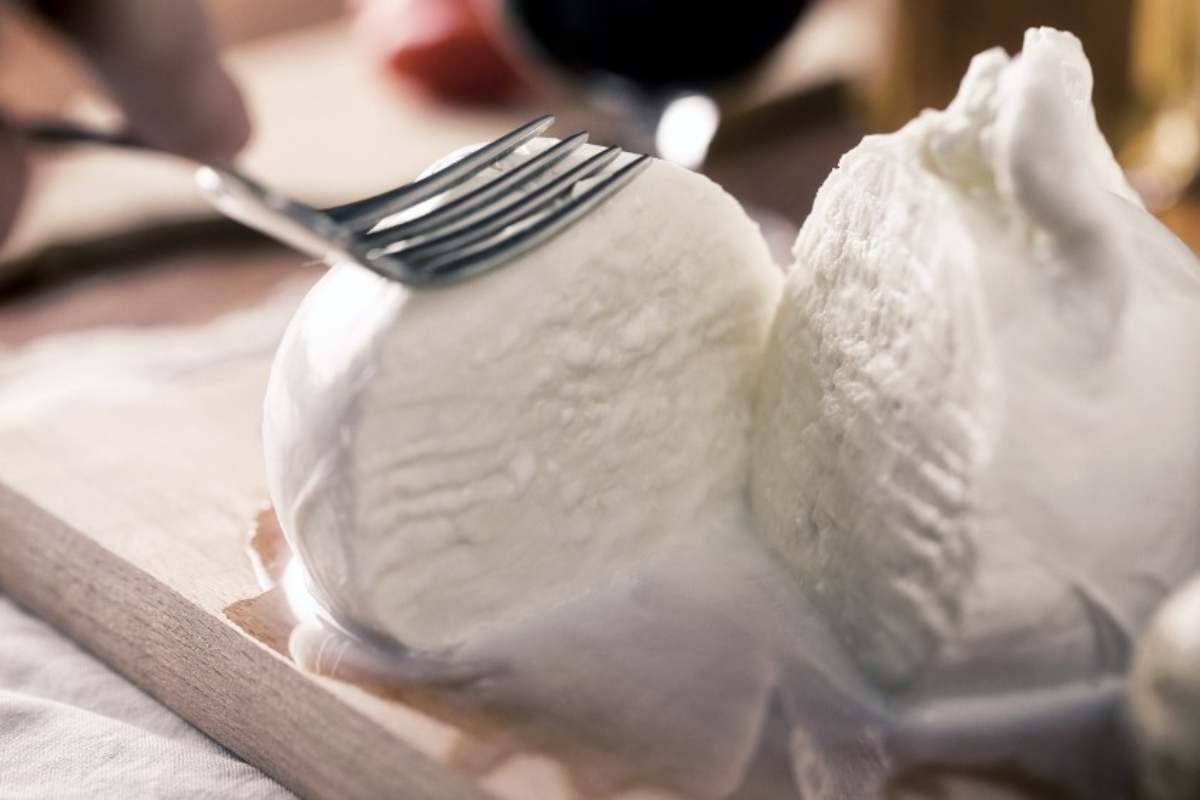 Caratteristiche mozzarella di bufala