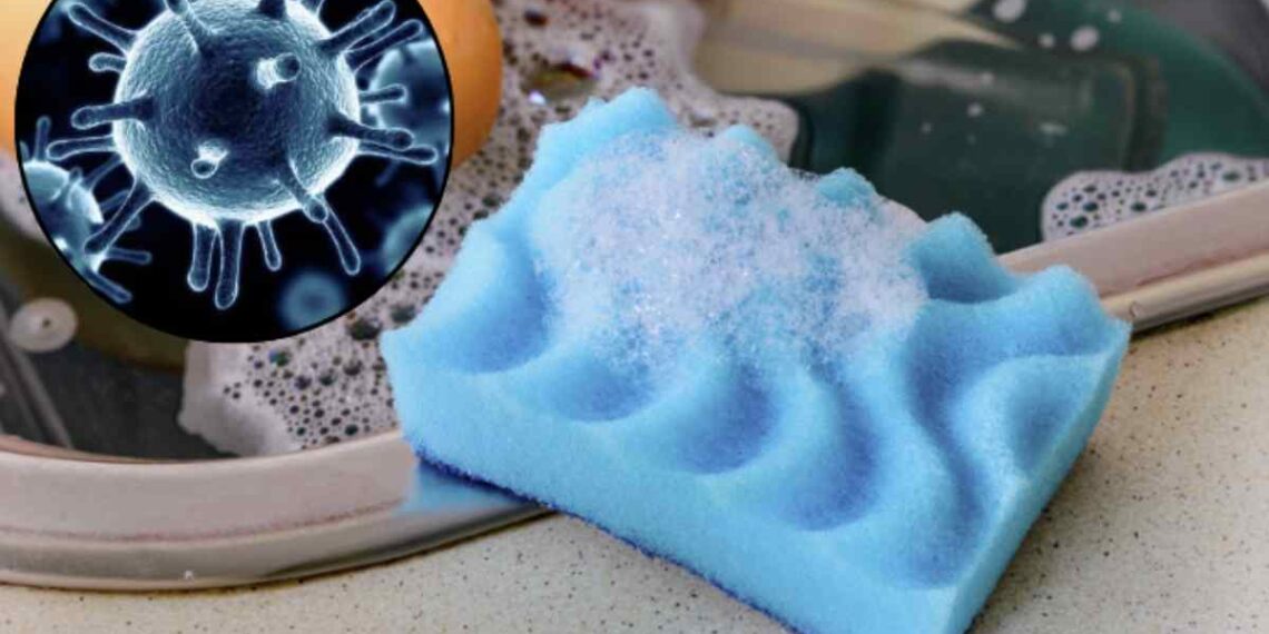 La sua gestione e conservazione corretta rappresentano un aspetto fondamentale per mantenere puliti gli ambienti domestici