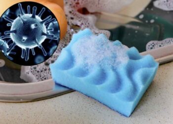 La sua gestione e conservazione corretta rappresentano un aspetto fondamentale per mantenere puliti gli ambienti domestici