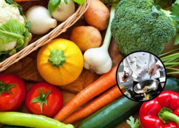 Per verdure sempre croccanti