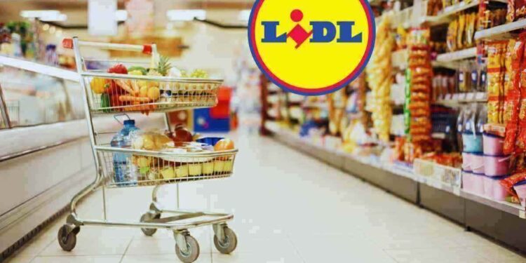 elettrodomestico del momento, da Lidl lo porti a casa con 14 euro