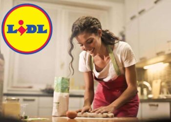 Questo elettrodomestico utilissimo d'estate, da Lidl costa poco più di 10 euro