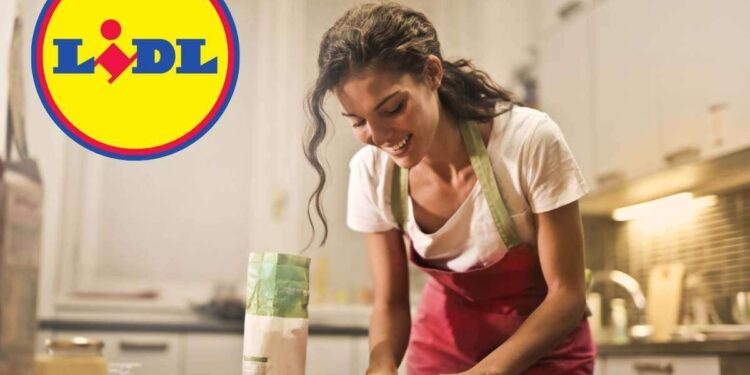 Questo elettrodomestico utilissimo d'estate, da Lidl costa poco più di 10 euro