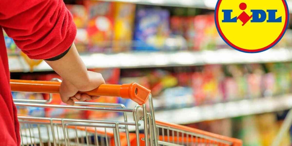 Sotto i 15 euro è introvabile altrove, Lidl l’ha messo in vendita e ora lo vogliono tutti