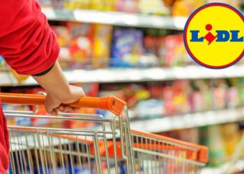 Sotto i 15 euro è introvabile altrove, Lidl l’ha messo in vendita e ora lo vogliono tutti