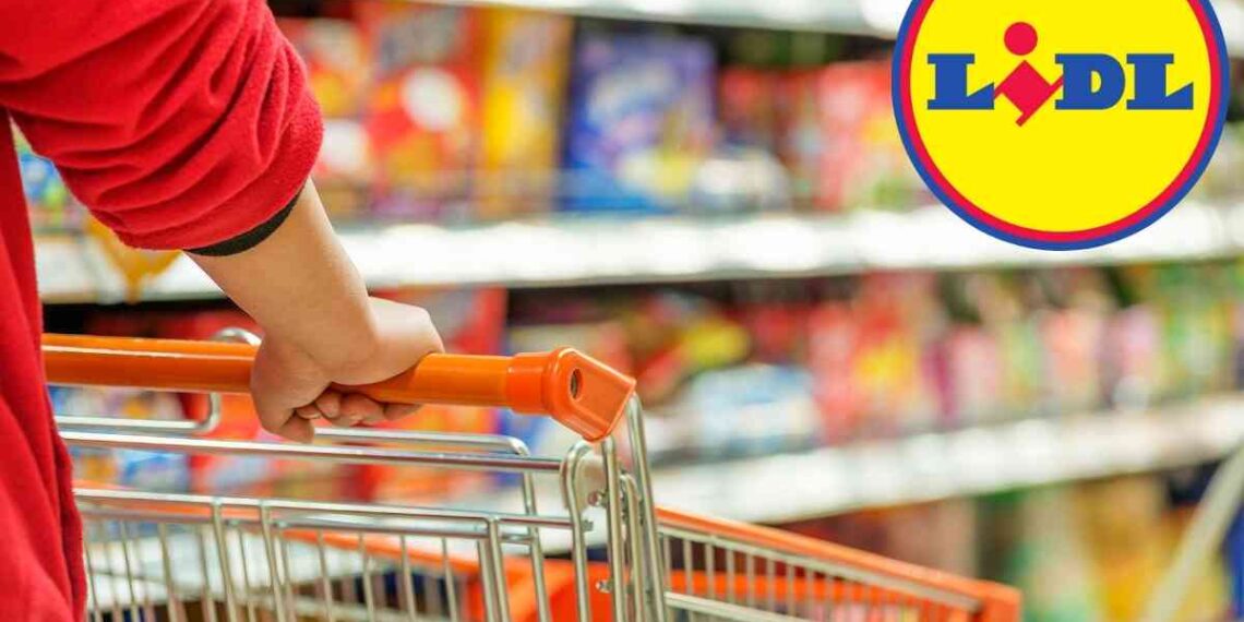 Lidl lancia la sfida alle grandi marche, utensili low cost e non solo