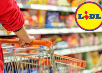 Lidl lancia la sfida alle grandi marche, utensili low cost e non solo