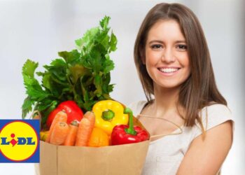 spesa lidl
