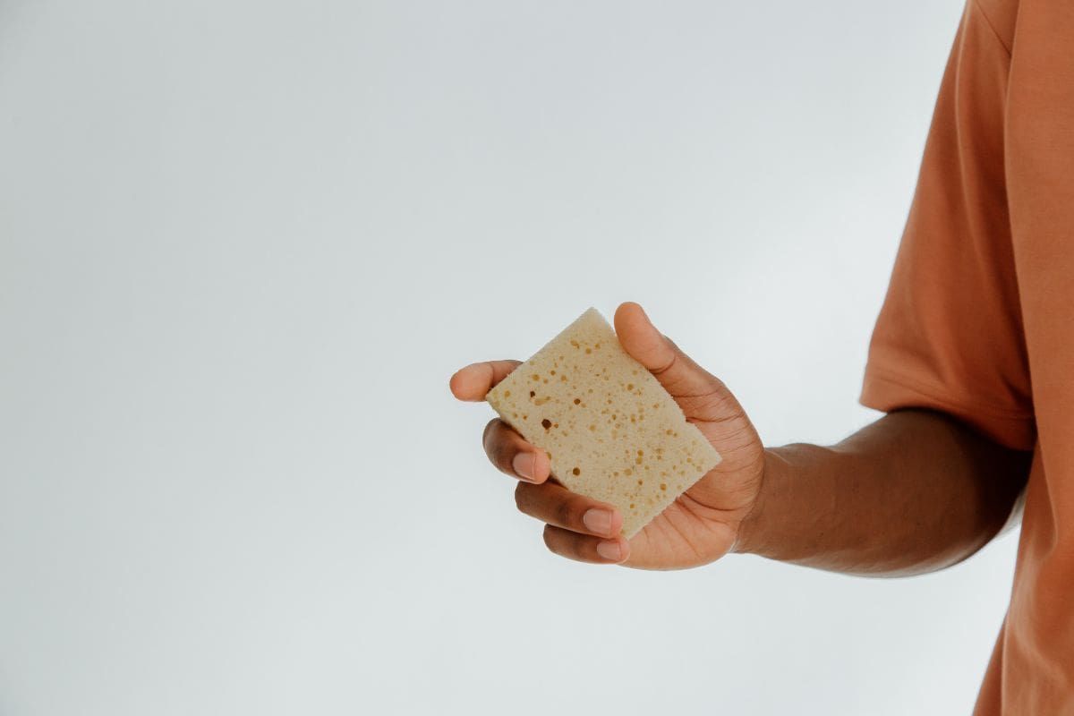 trucco spugna nel congelatore