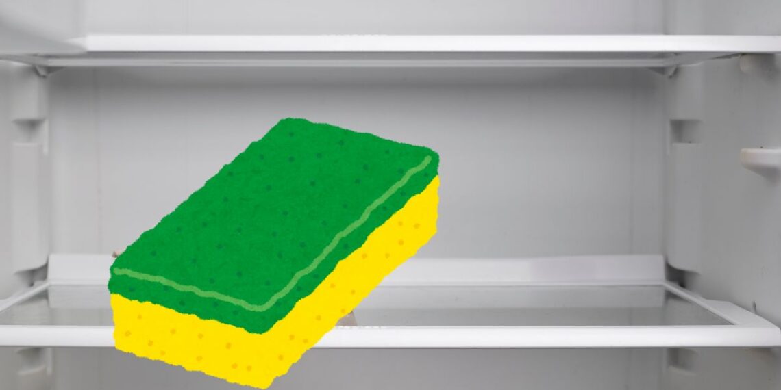 trucco spugna nel congelatore