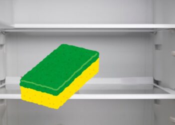 trucco spugna nel congelatore