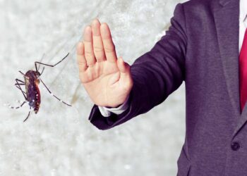 Vuoi scacciare le zanzare? Inizia a mangiare questi alimenti