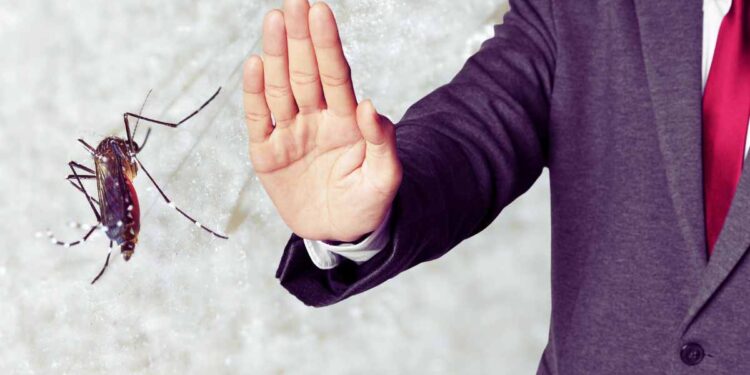 Vuoi scacciare le zanzare? Inizia a mangiare questi alimenti