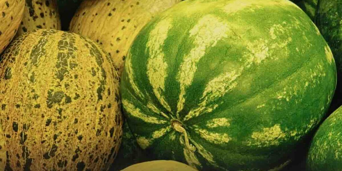 Prezzi angurie e meloni