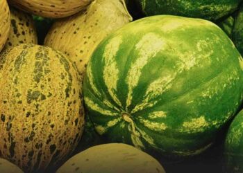 Prezzi angurie e meloni