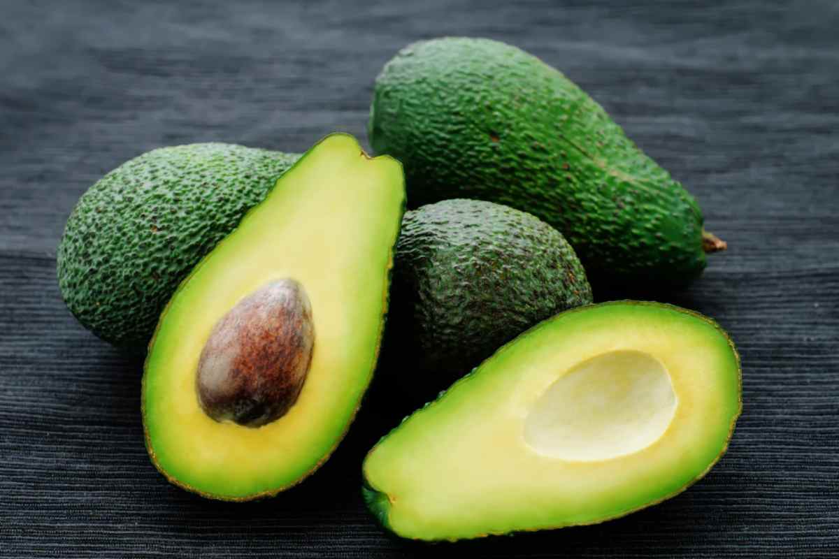 Avocado
