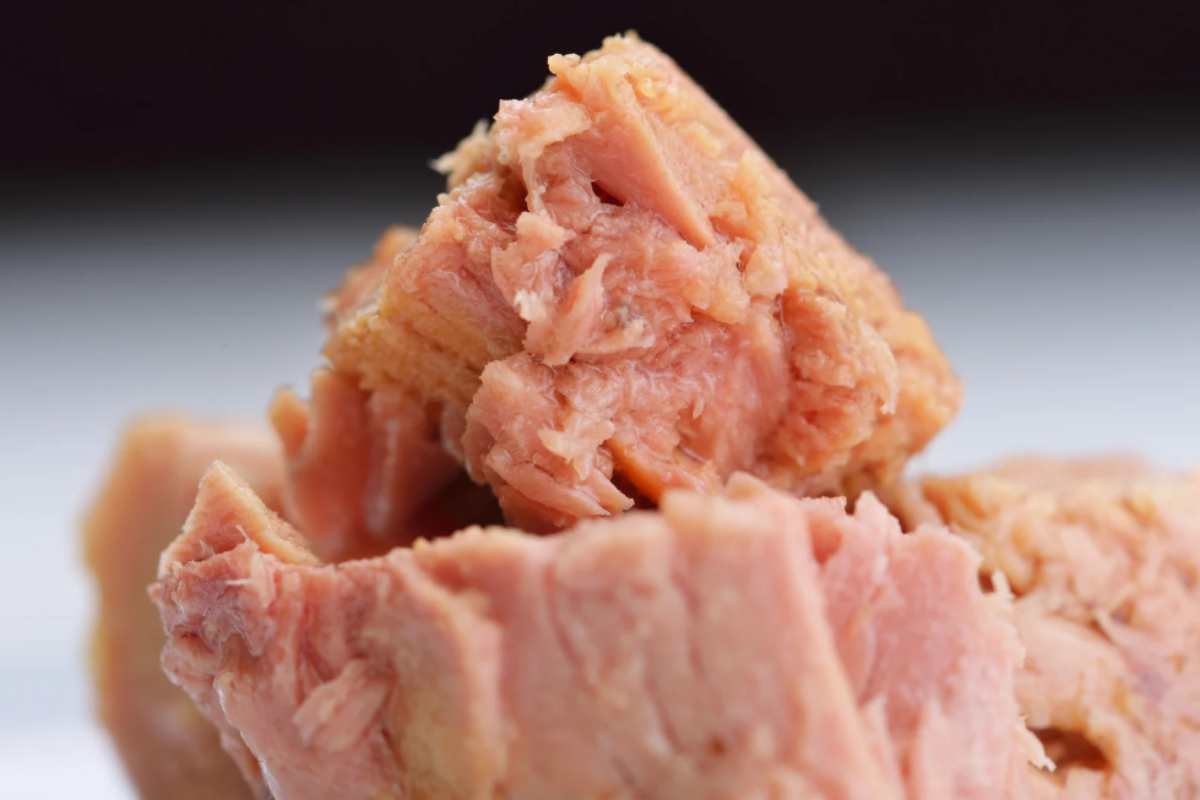 Cotolette di tonno