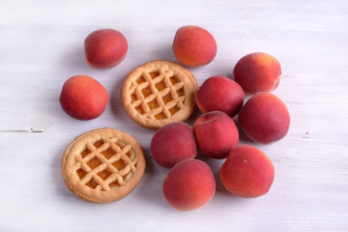Richiamo crostatine albicocca