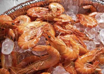 Sono un ingrediente prezioso sia nelle ricette tradizionali che nelle preparazioni più innovative. Per ottenere il massimo da questo prodotto,